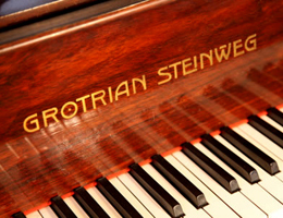 简史 戈特里安 施坦维格